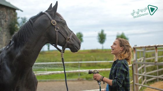 فيلم Rock My Heart 2017 مترجم